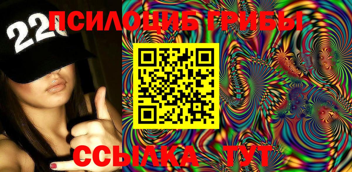 магазин  наркотиков  Псилоцибиновые грибы мицелий  Вход с VPN  Аша 